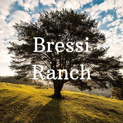 Bressi Ranch Homes for Sale
