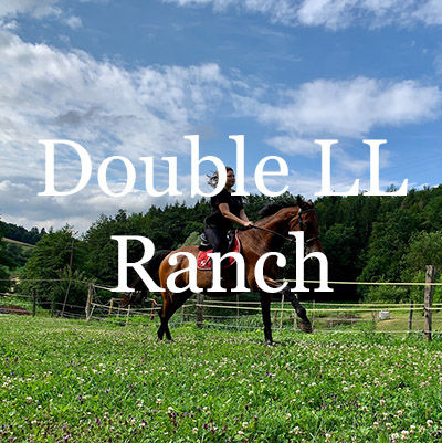 Double LL Ranch Homes for Sale