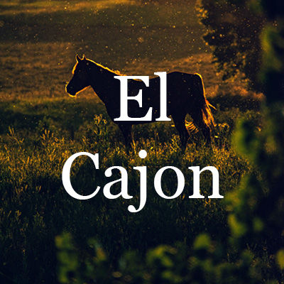 El Cajon Homes for Sale