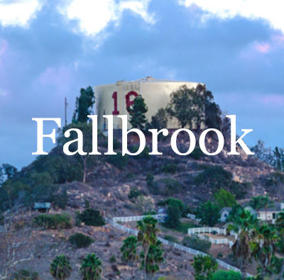 Fallbrook Homes for Sale