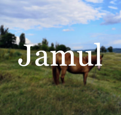 Jamul Homes for Sale