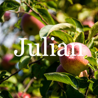 Julian Homes for Sale