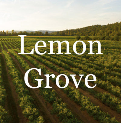Lemon Grove Homes for Sale