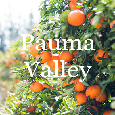 Pauma Valley Homes for Sale