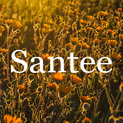 Santee Homes for Sale