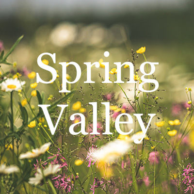 Spring Valley Homes for Sale