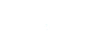 cyber logo