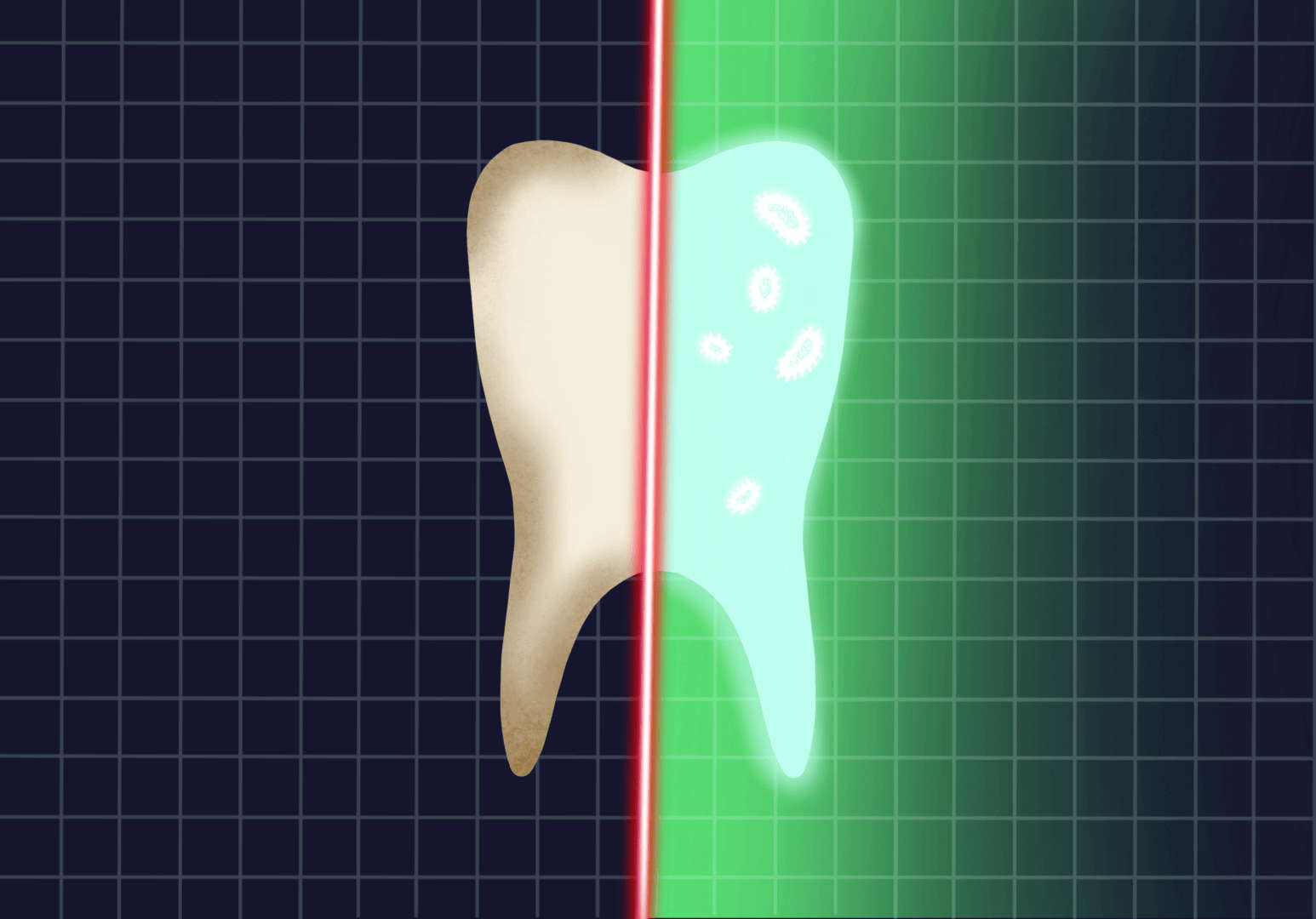 Oral Pathology