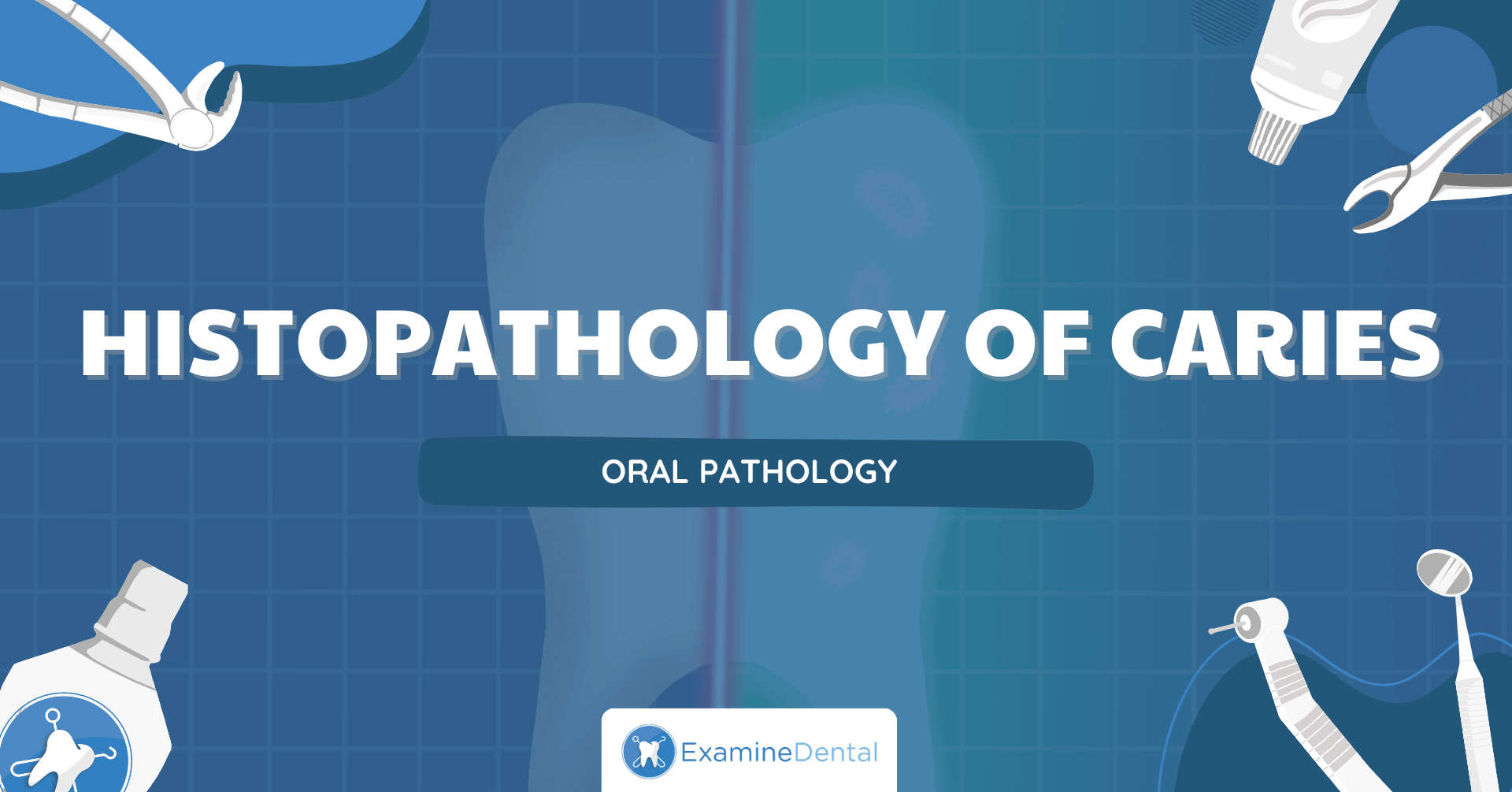 Histopathology of Caries