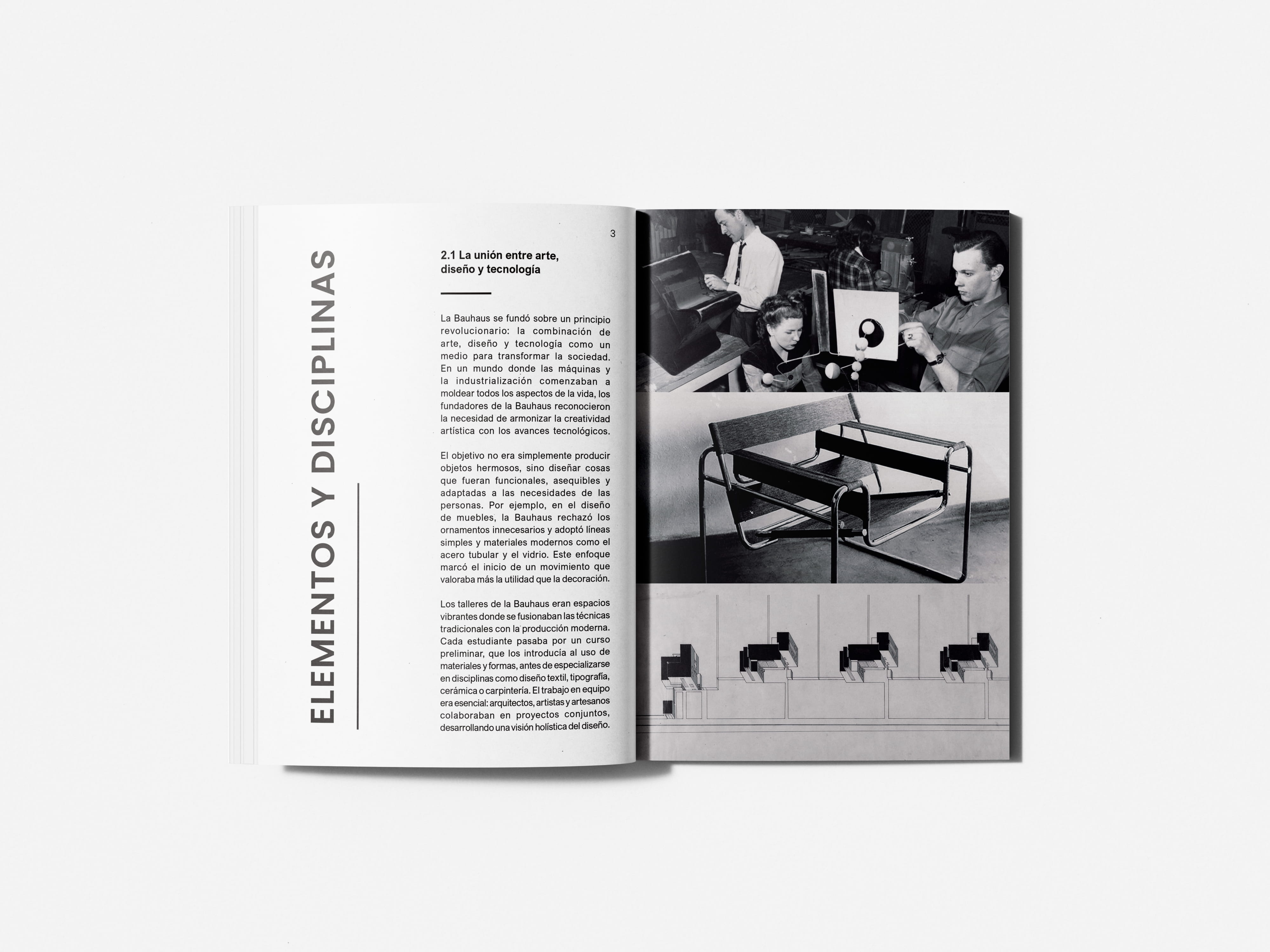 Hoaki - Libro dentro