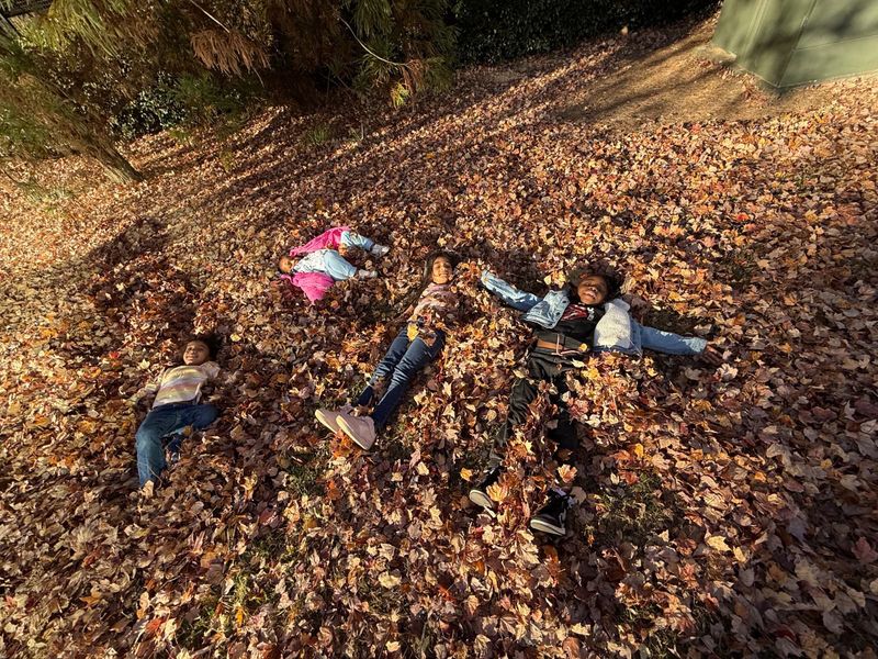 Love Bugs Learning Home