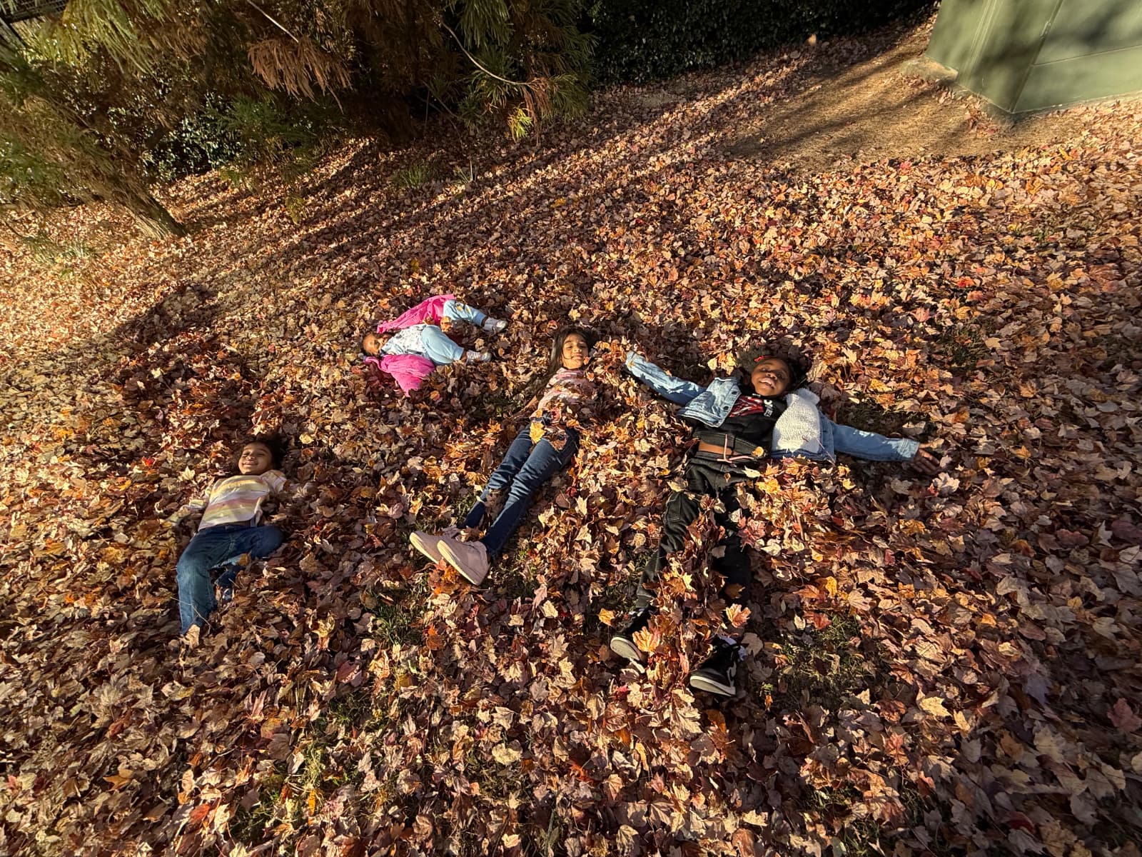 Love Bugs Learning Home