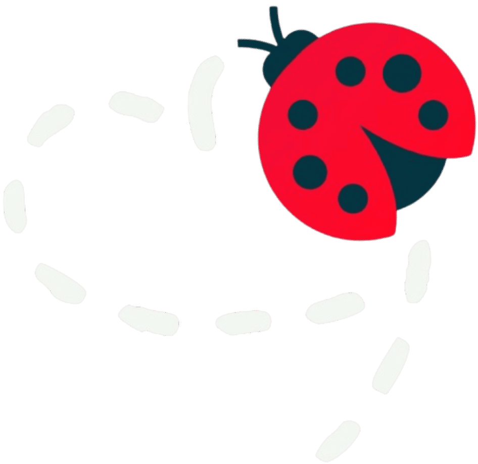 Love Bugs Learning Home