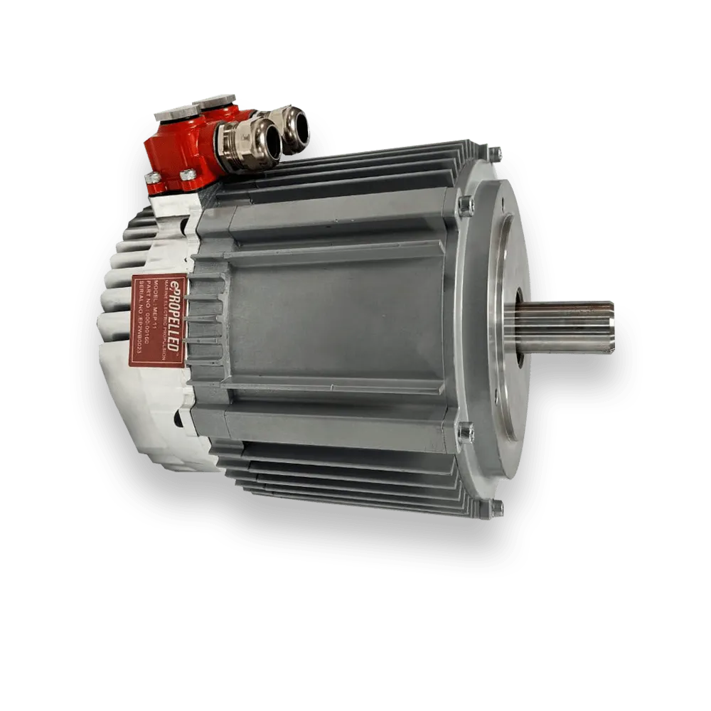 MEP11