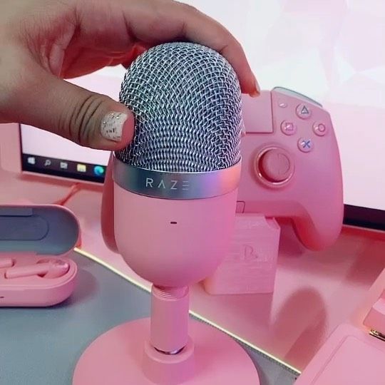 Razer Seiren Mini USB Streaming Microphone: Precise Supercardioid Pickup  Pattern - Professional Recording Quality - Ultra-Compact Build - Heavy-Duty  Tilting Stand - Shock Resistant - Quartz Pink 