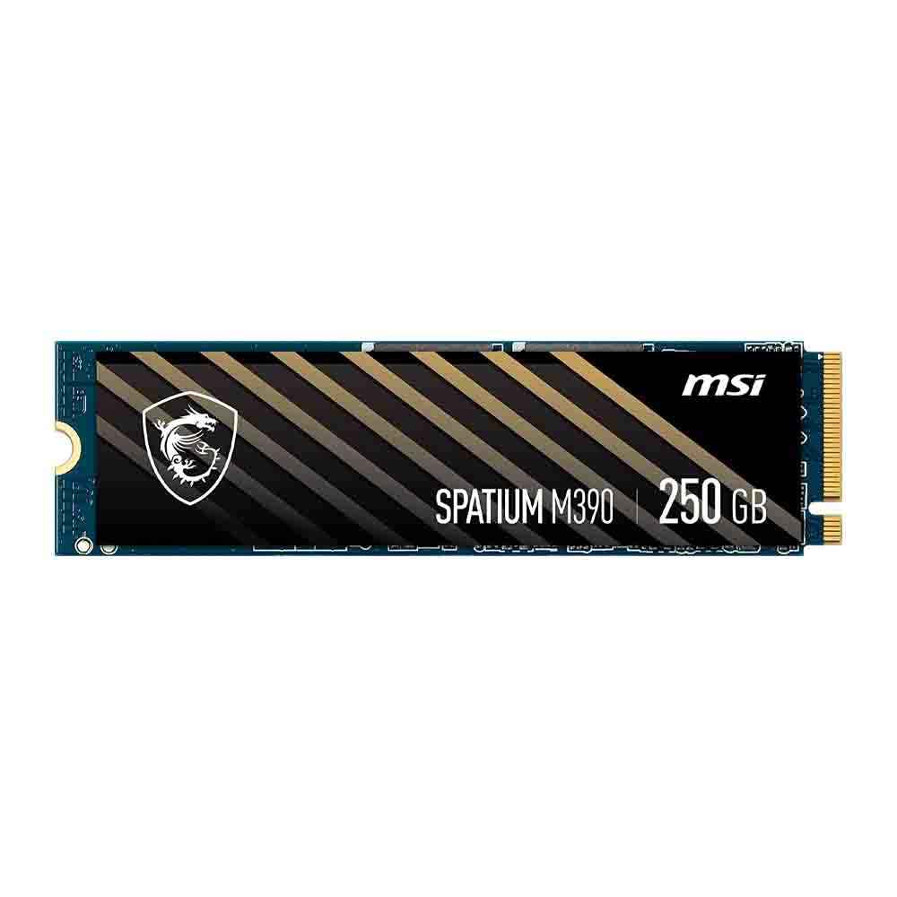 Msi 250Gb Ssd, Spatium M390 , Pcie Nvme M.2 SSD