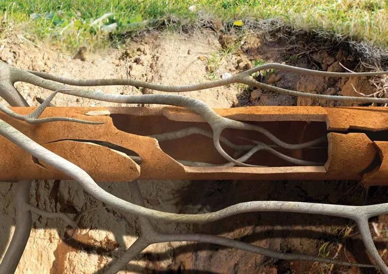 TRENCHLESS PIPE RELINING SYDNEY METHOD TRENCHLESS PIPE RELINING SYDNEY METHOD