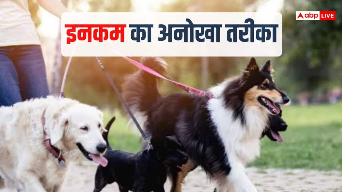 रोज 50000 रुपये का इनकम, वकालत छोड़ कुत्तों को घूमा रही लड़की