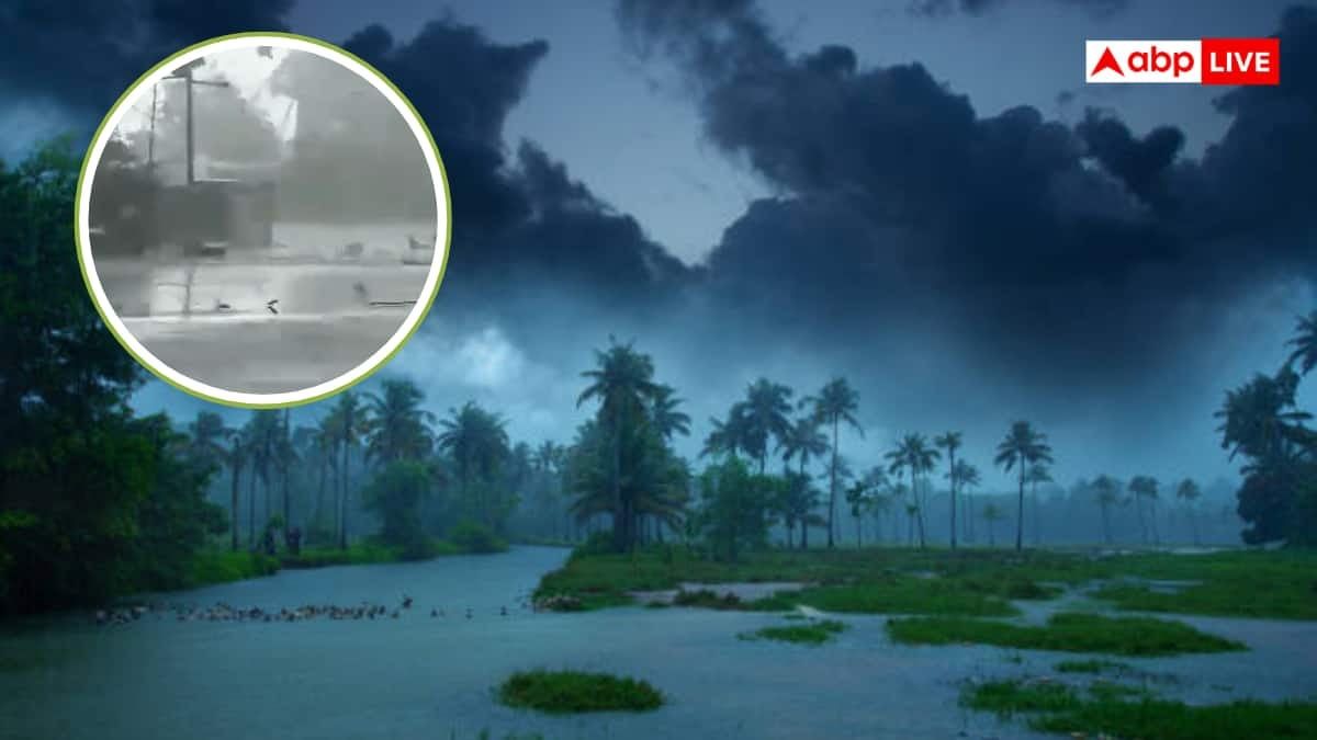 तेलंगाना में तूफान ने मचाई तबाही, पेड़ और छतों की शीटें गिरीं, IMD का अलर्ट