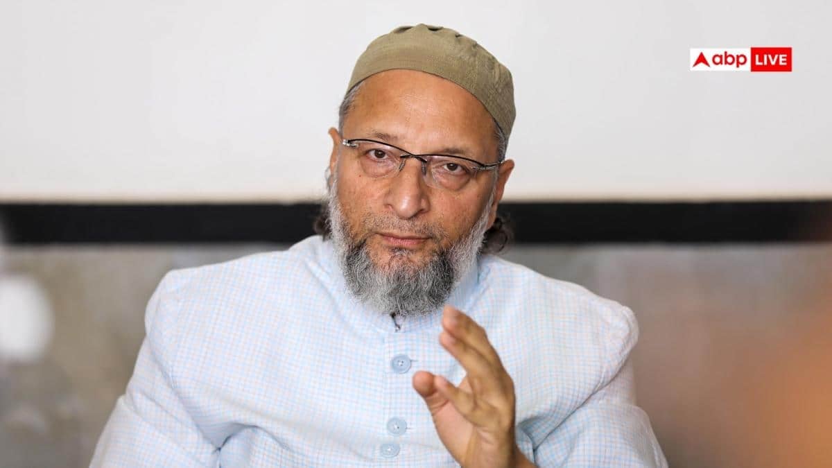 'नाराज फूफा से करेगा क्या...', SIR पर भड़के ओवैसी, चुनाव आयोग को दिया मैसेज