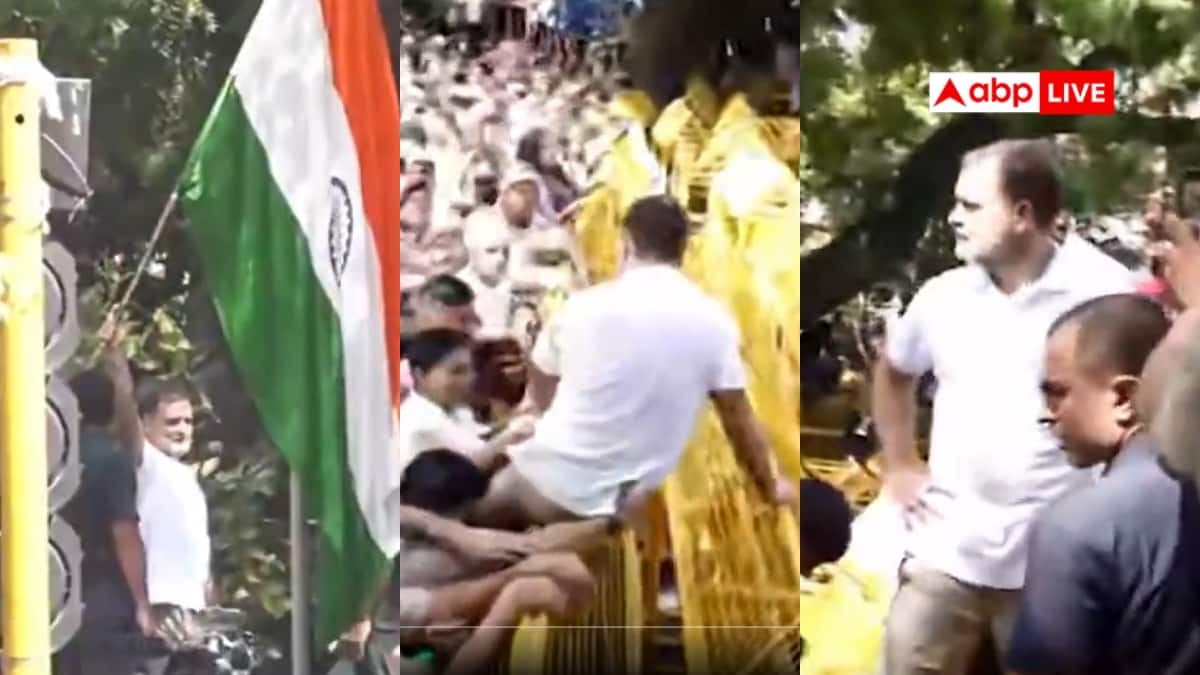 INDIA गठबंधन मार्च: बैरिकेडिंग पर चढ़कर राहुल ने लहराया तिरंगा, धरने से आई तस्वीर