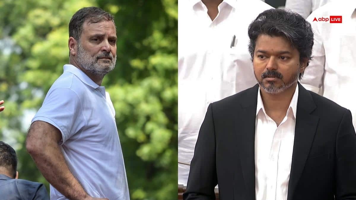 'विजय से डरते हैं राहुल गांधी इसलिए...', इंडिया गठबंधन के प्रदर्शन पर भड़की DMK
