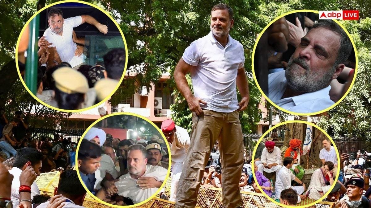 9 घंटे हाई वोल्टेज ड्रामा और 2 घंटे की हिरासत..., दिनभर चले राहुल के प्रदर्शन में क्या-क्या हुआ?