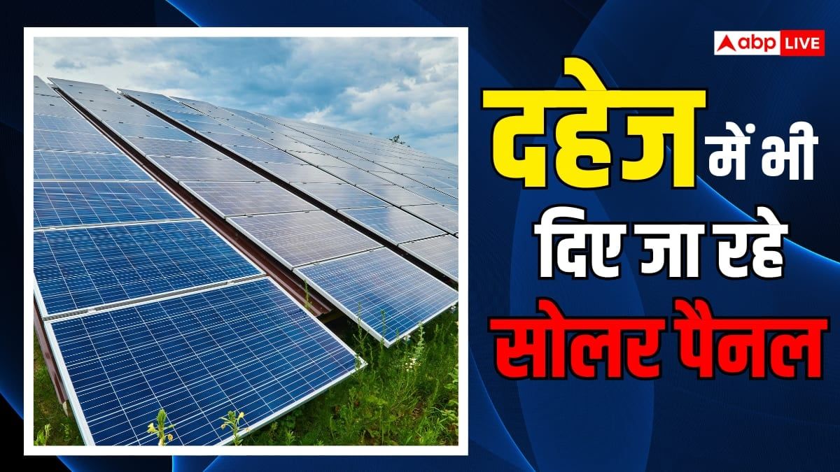 सस्ते सोलर पैनल का कमाल, पड़ोसी देश में क्यों उड़ी बिजली कंपनियों की नींद?