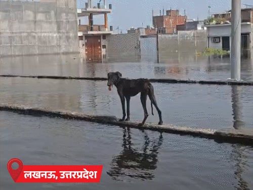 लखनऊ में बाढ़ से 3 लाख से ज्यादा लोग प्रभावित:बिहार के 18 जिलों में आंधी-बारिश का अलर्ट; उत्तराखंड के पिथौरागढ़ में बर्फबारी