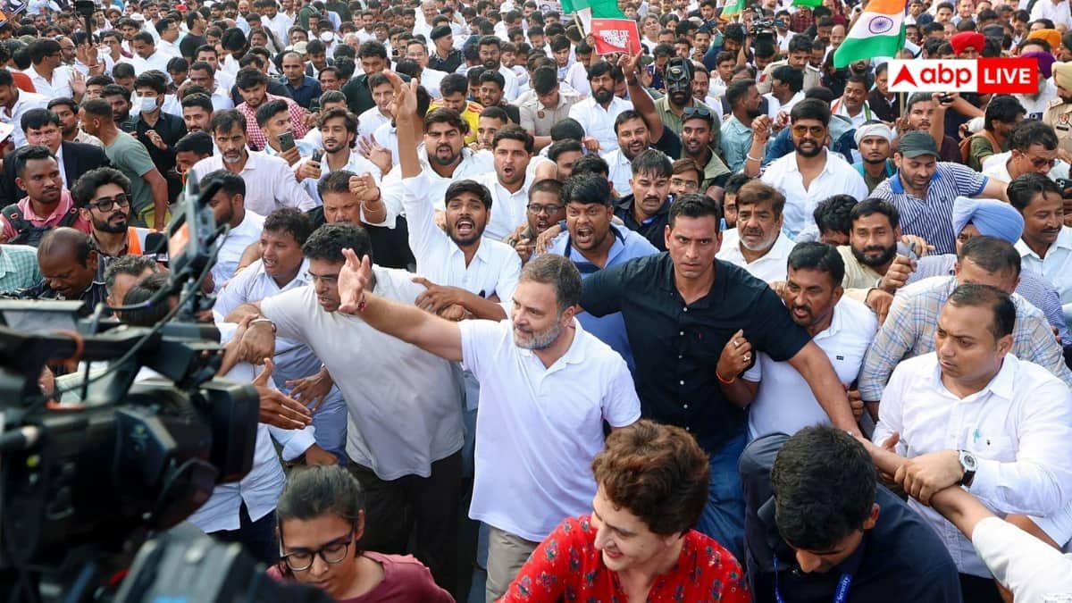 'उन करोड़ों लोगों का धन्यवाद जिन्होंने...', इंडिया गठबंधन मार्च के बाद राहुल का बयान