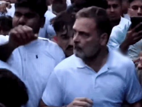 BJP का आरोप- राहुल ने महिला पत्रकार को धकेला:मार्च में शामिल कार्यकर्ता को भी कोहनी मारी, उनका व्यवहार लोकतंत्र के लिए खतरनाक