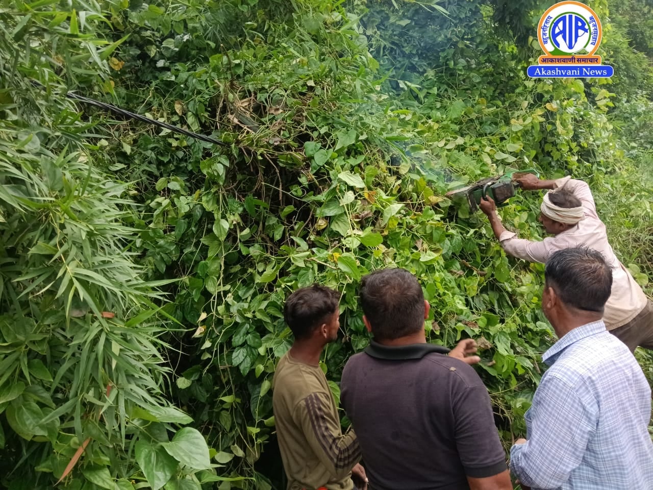 तीन दिन की बारिश से सुल्तानपुर में भारी नुकसान,