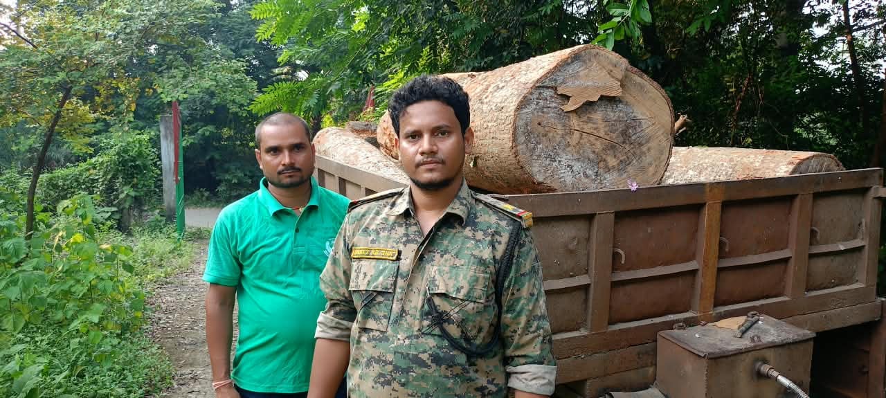 साहिबगंज में अवैध लकड़ी के खिलाफ कार्रवाई, सेमल-सखुआ के बोटे जब्त