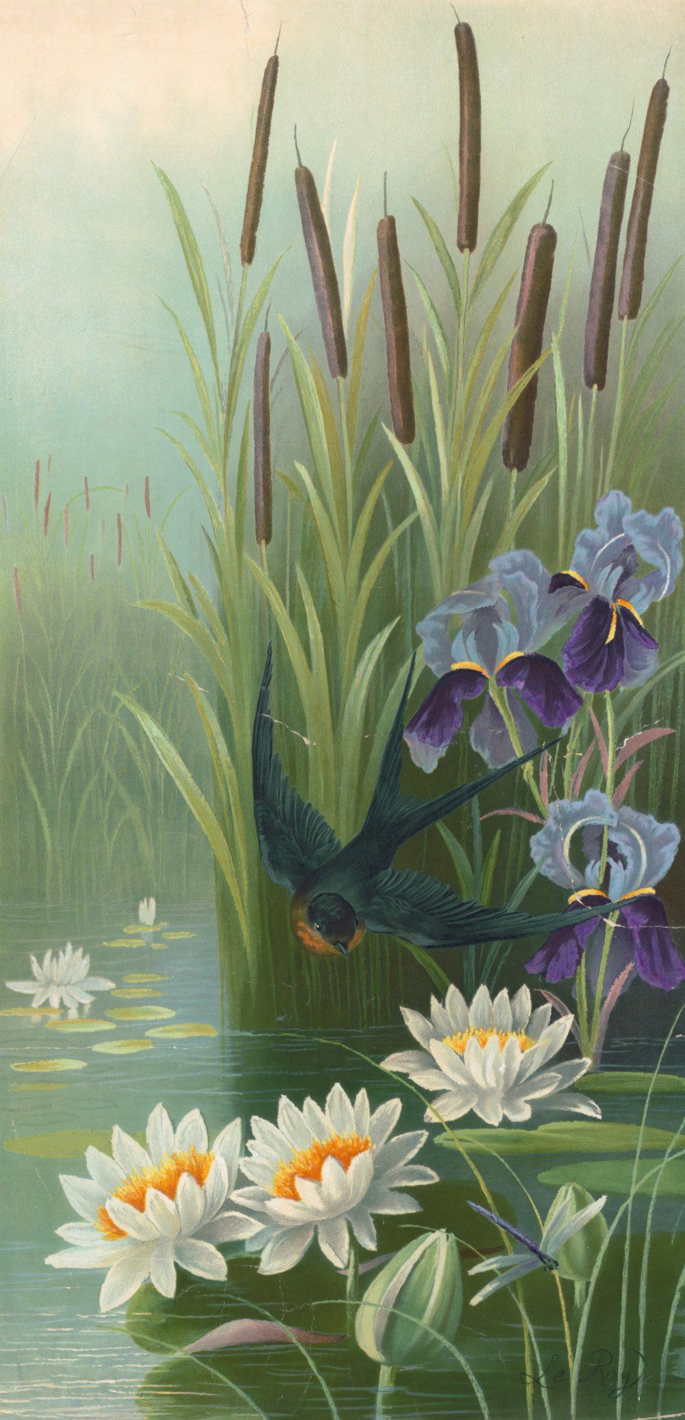 Konten Bir di atas Pond
