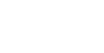 Webdash Logo