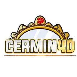 CERMIN4D