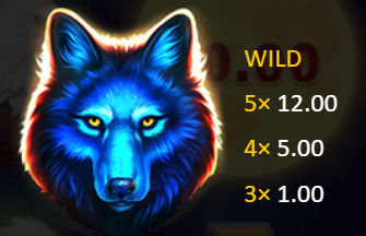 Black Wolf 2　WOLF WILD