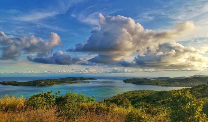 Tavewa Fiji