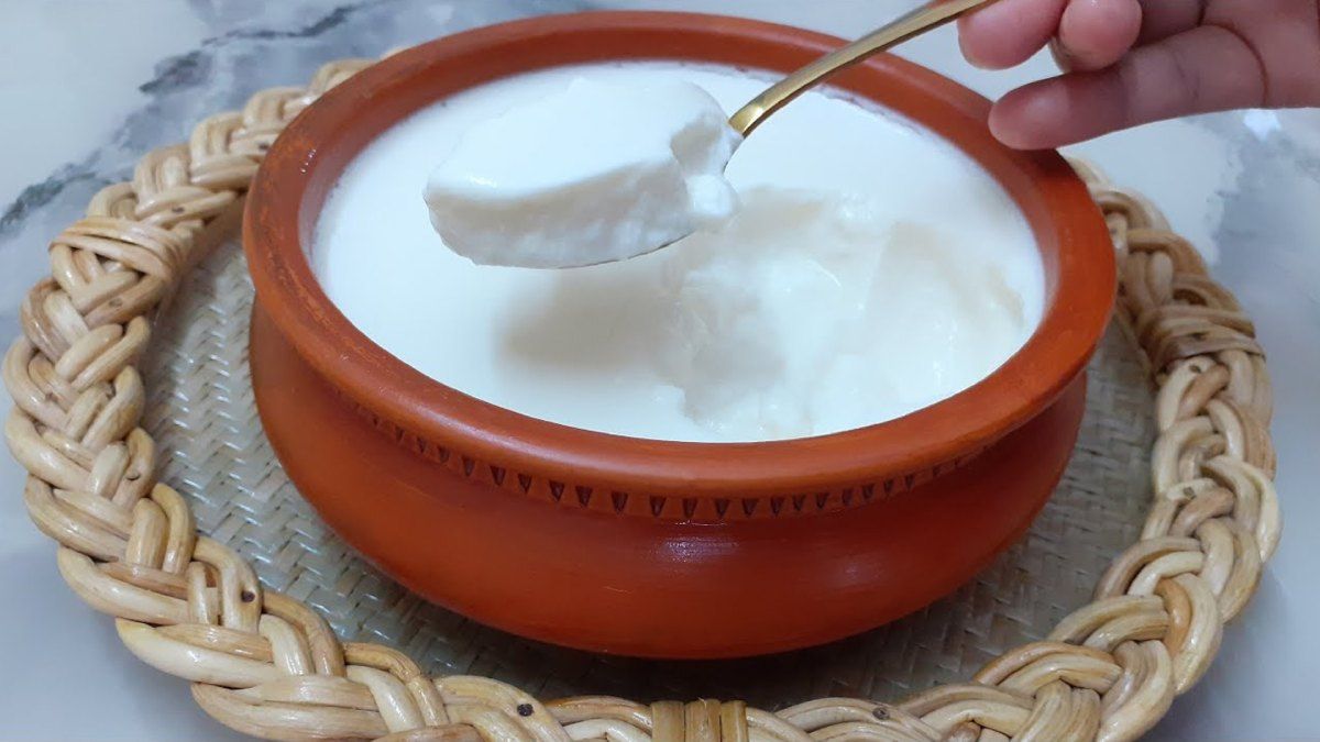 টক দই ও প্রোবায়োটিক খাবার