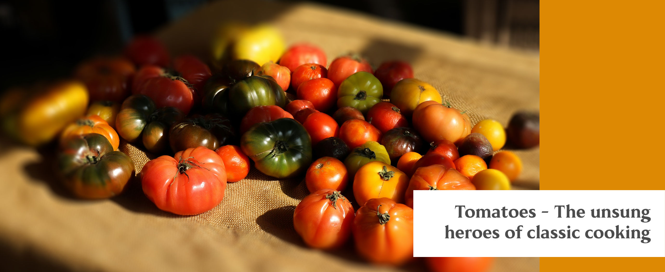 Tomatoes. Where did tomatoes come from? The origin and history of tomatoes. How are tomatoes used. Tomatoes in global cooking.