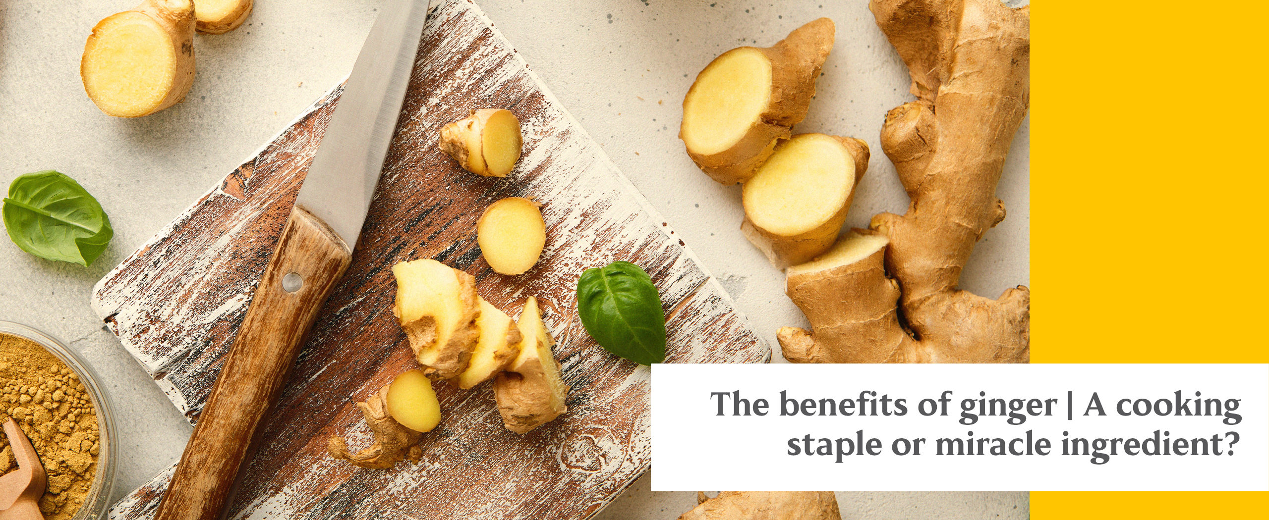 benefits of ginger. health benefits of ginger. does ginger help with digestion? how ginger is used in world cuisines. ginger in ancient medicine.