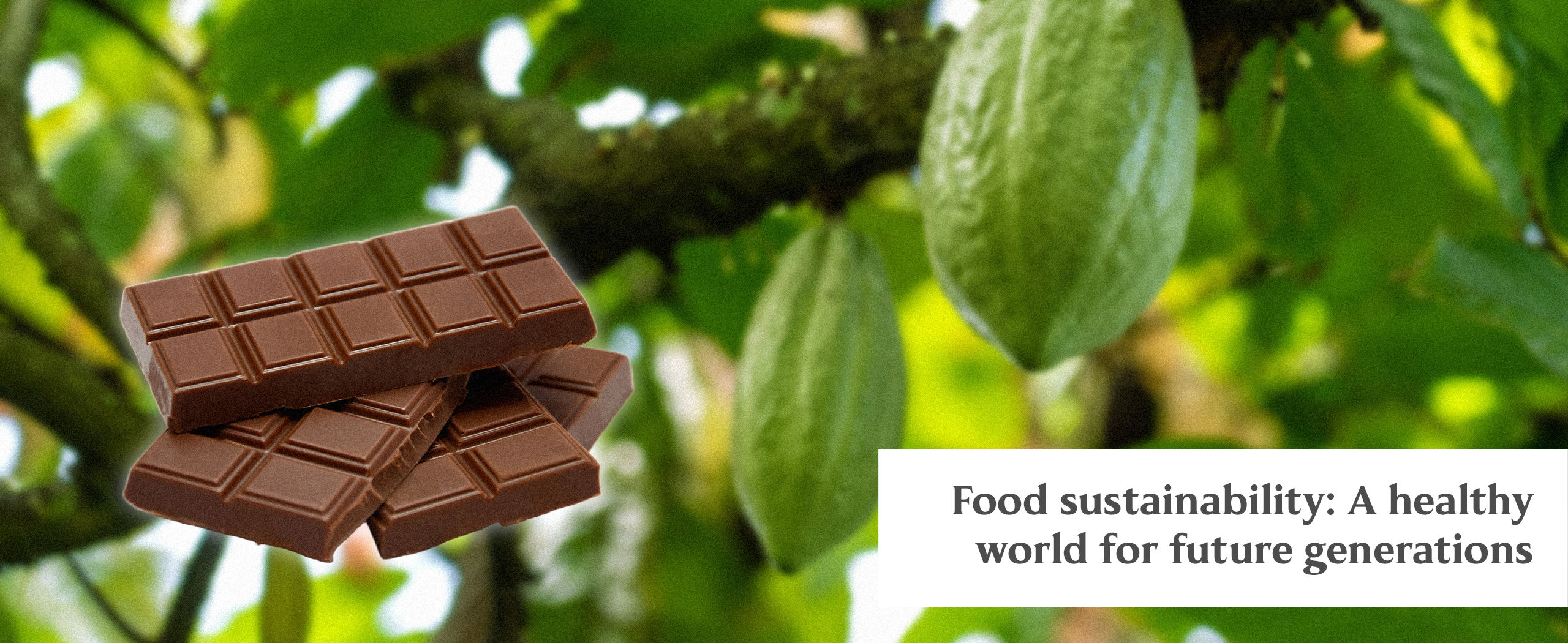 Food sustainability. What is food sustainability. Impact of food ethics on food sustainability. Sustainable food systems. how to contribute to food sustainability.