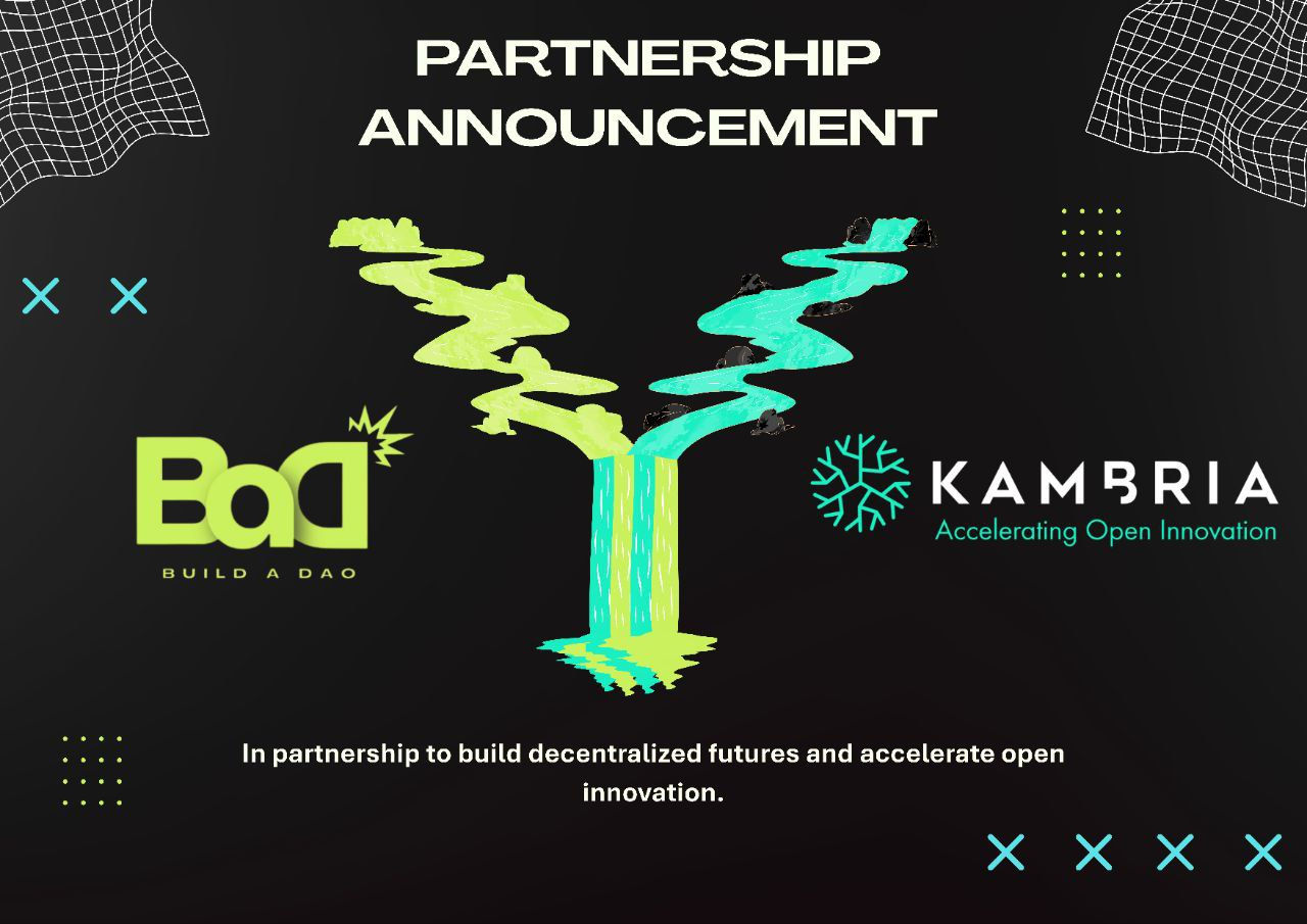 Kambria Partnership image 1