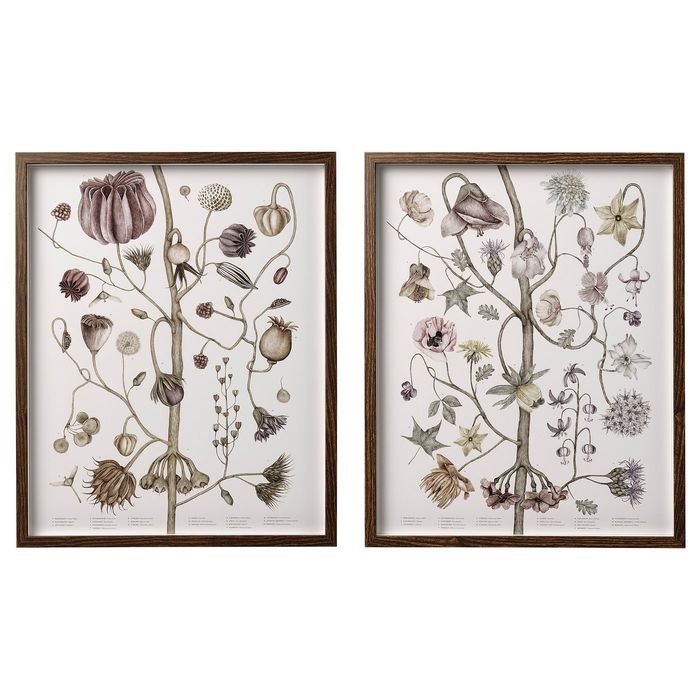 HOVSTA Rám s plakátem, vintage květiny, 40x50 cm - IKEA