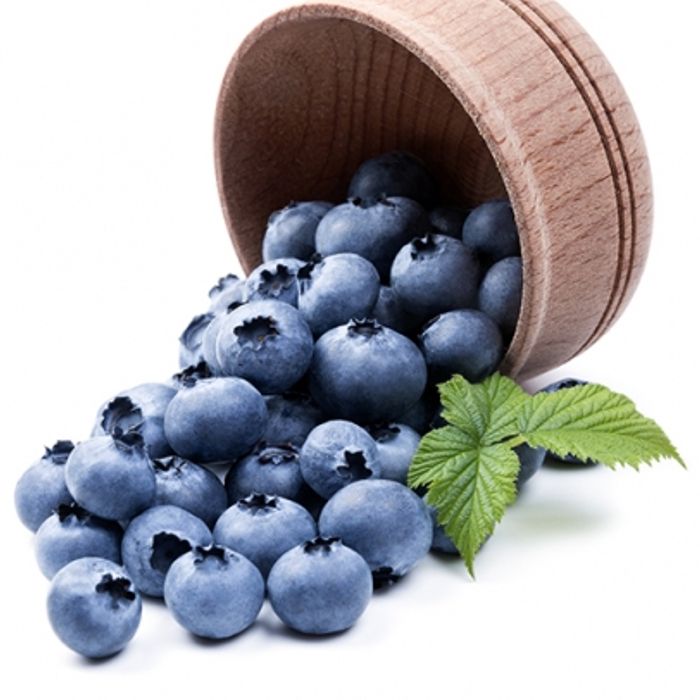 Borůvka Early Blue