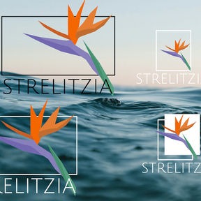 Logo 5