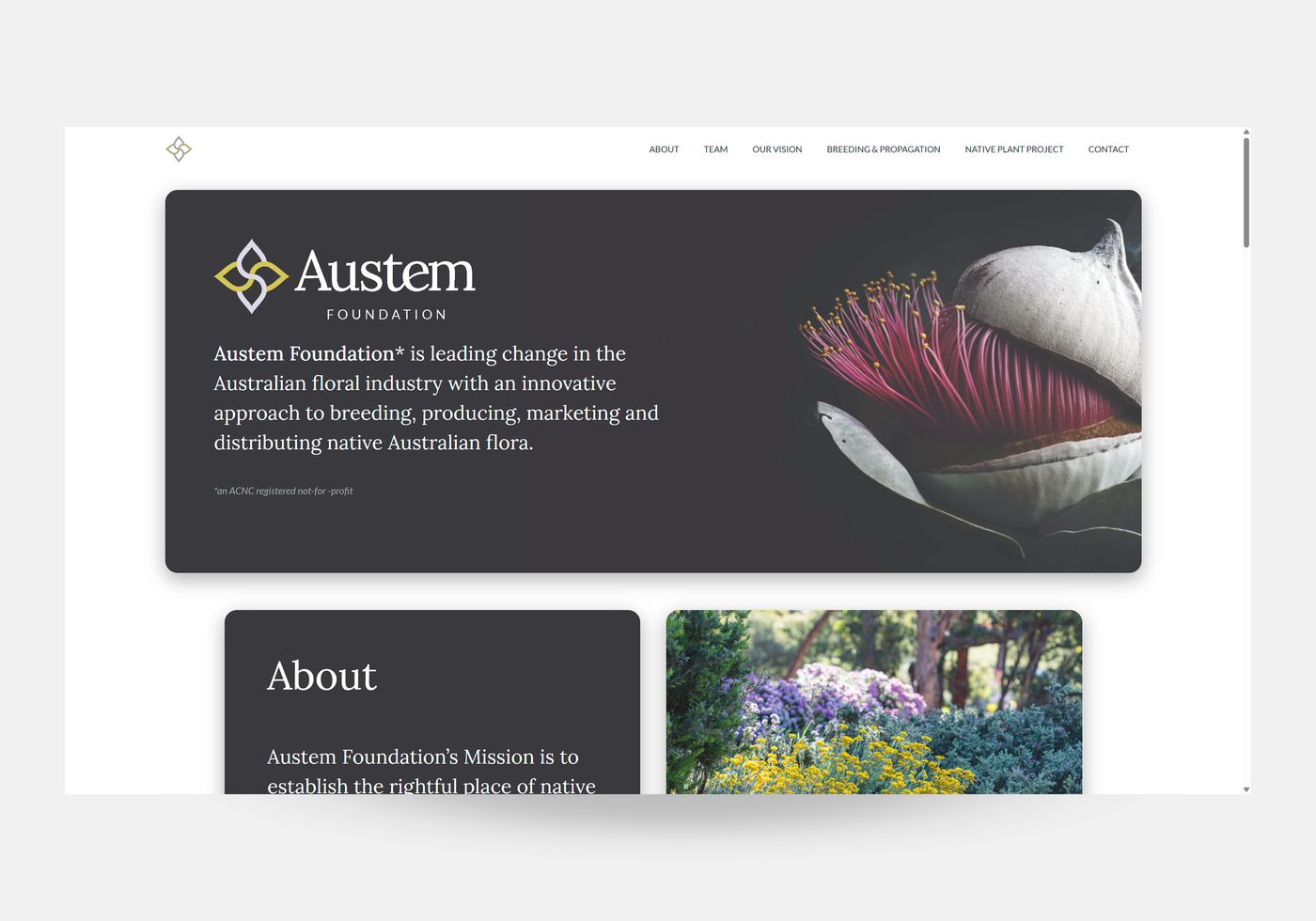 Austem Foundation