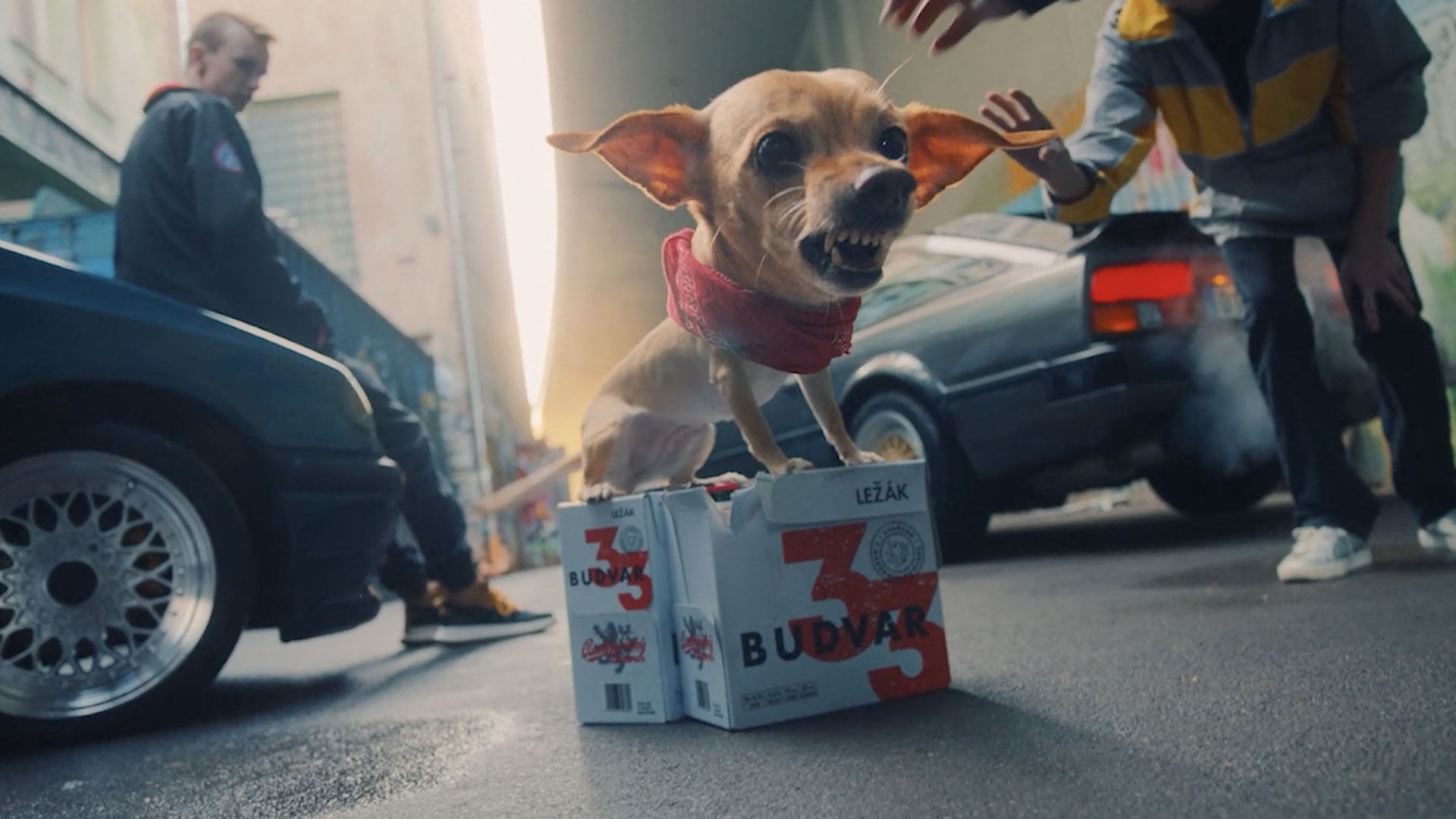 Budvar 33 gifs