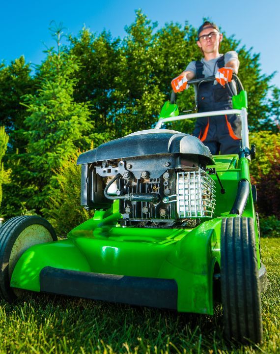 Affordable Landscaping Services in