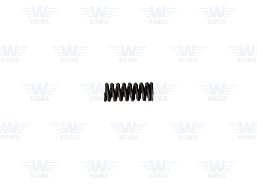 Spring KWP-30091-K